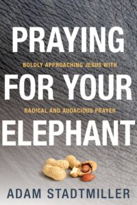 Adam Stadtmiller-Praying For Your Elephant cover art
