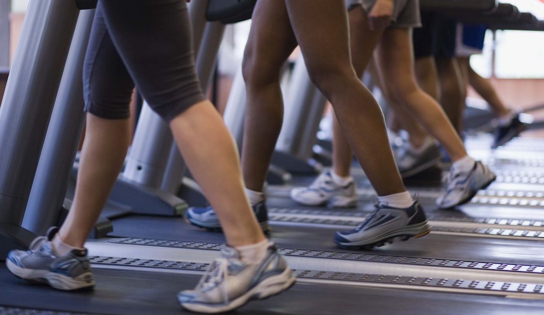 women walking on treadmills at a gym